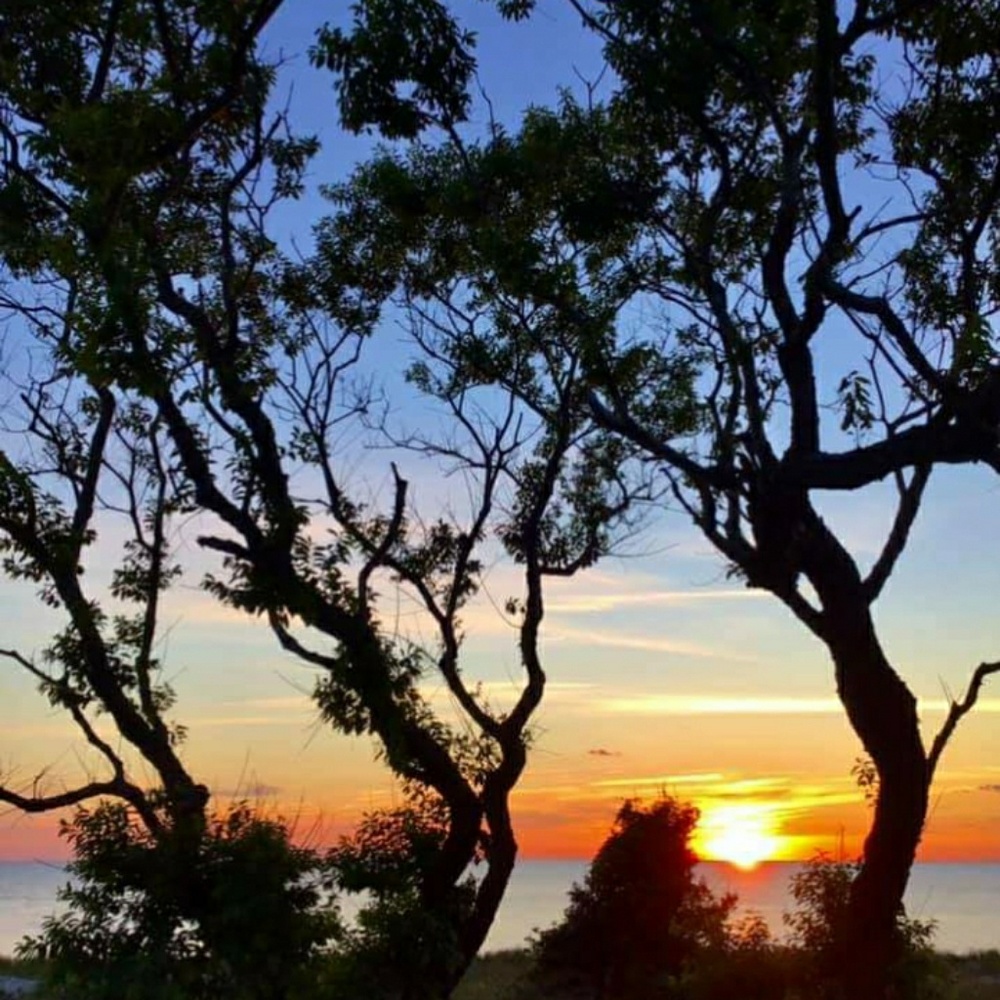 Meet your Posher, Joe